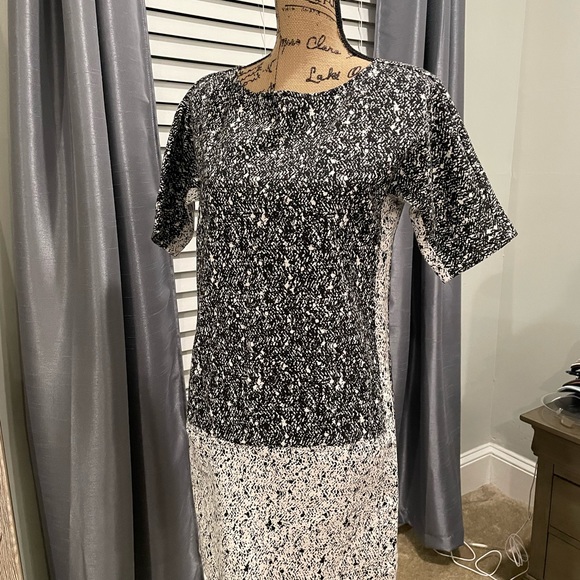 Banana Republic dress - Picture 4 of 14